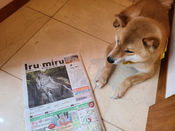 京都新聞折り込み紙『イル・ミル』に僕だ、ワン！（８月１２日）